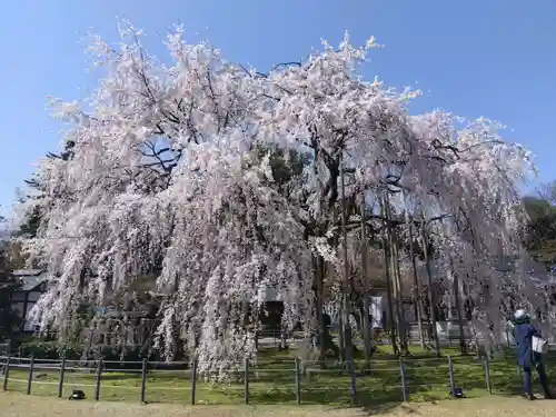 足羽神社(福井県)