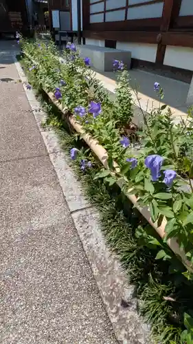 晴明神社(京都府)
