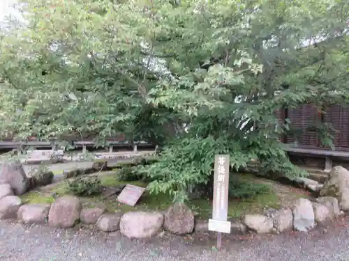 百済寺(滋賀県)