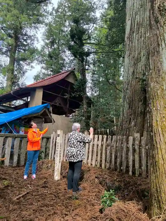 天鷹神社(岐阜県)