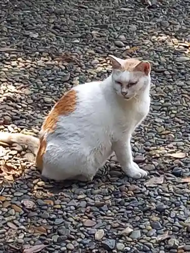 息栖神社(茨城県)
