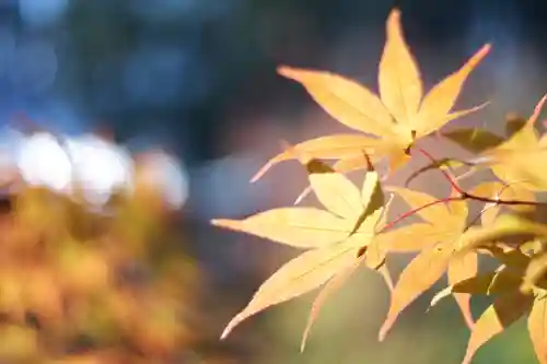龍田大社(奈良県)