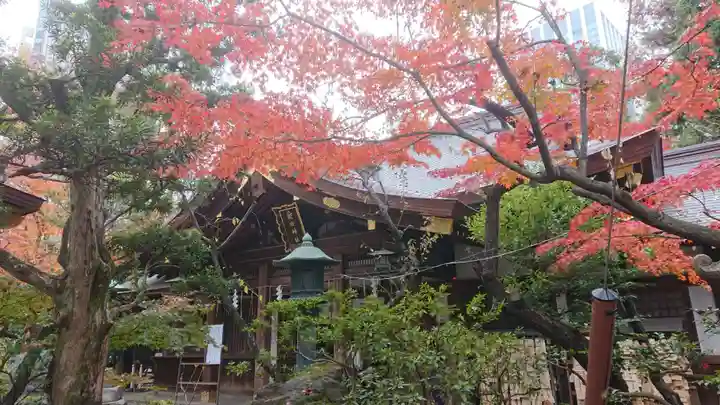 愛宕神社の本殿・本堂