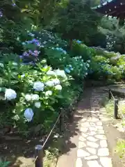 妙楽寺(神奈川県)