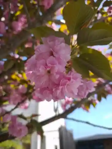 乗禅寺の{uncategorized: "未分類", other: "その他", undefined: "問題あり", building: "その他建物", grave: "お墓", sacred_gate: "鳥居", guardian: "狛犬", statue: "像", buddha: "仏像", history: "歴史", nature: "自然", garden: "庭園", animal: "動物", pagoda: "塔", temizu: "手水舎", mountain_gate: "山門・神門", sanctuary: "本殿・本堂", subordinate: "末社・摂社", art: "芸術", scenery: "景色", jizo: "地蔵", ema: "絵馬", goshuin: "御朱印", omikuji: "おみくじ", items: "授与品その他", amulet: "お守り", goshuincho: "御朱印帳", eats: "食事", festival: "お祭り", votive_dance: "神楽", shichigosan: "七五三参", wedding: "結婚式", experience: "体験その他", initially: "初詣", around: "周辺", anti_infection: "感染症対策"}