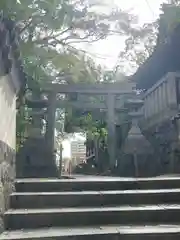 菅生神社の鳥居