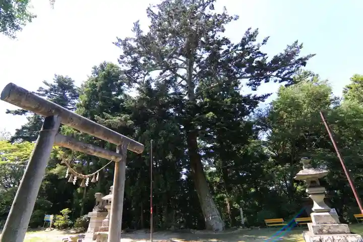 三春大神宮の自然