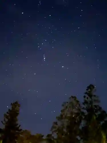 高野山金剛峯寺奥の院(和歌山県)