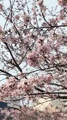 伊勢山皇大神宮の御朱印