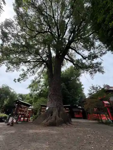 冠稲荷神社(群馬県)
