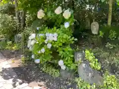 青龍山 吉祥寺(群馬県)