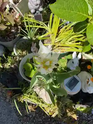 三輪神社(愛知県)