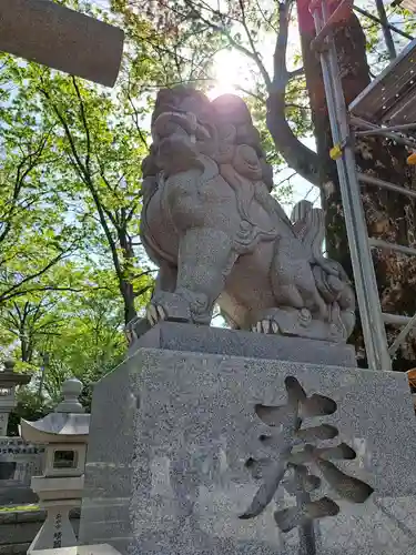 大國魂神社の狛犬