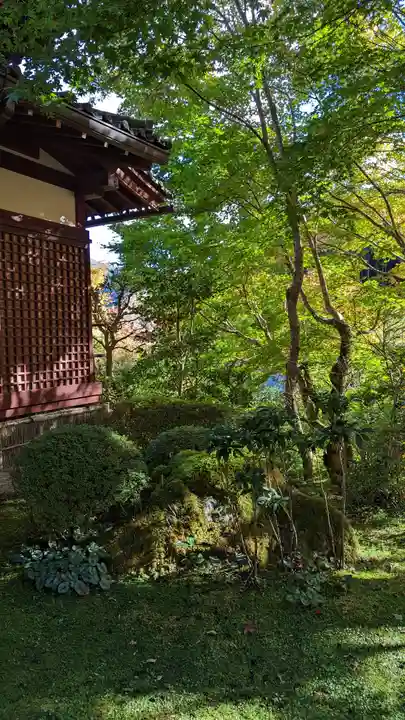 寂光院(京都府)