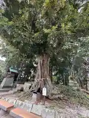 揖夜神社(島根県)