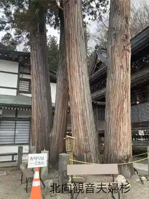 北向観音(長野県)