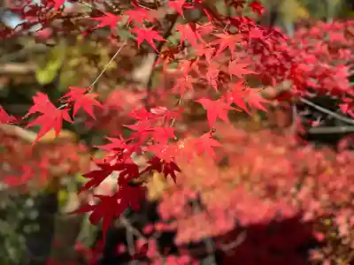 長徳寺(三重県)
