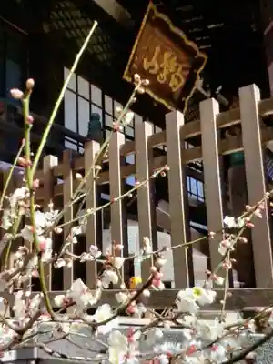 福蔵院(東京都)