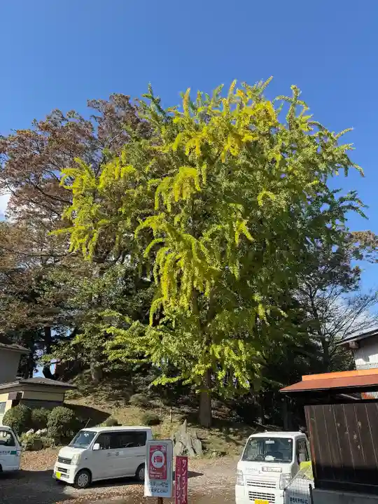 八坂神社(宮城県)