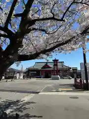 彌彦神社(新潟県)