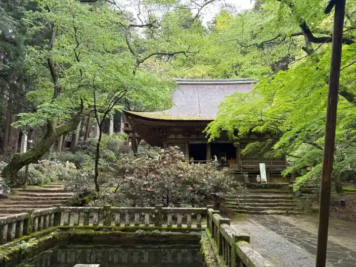 室生寺の{uncategorized: "未分類", other: "その他", undefined: "問題あり", building: "その他建物", grave: "お墓", sacred_gate: "鳥居", guardian: "狛犬", statue: "像", buddha: "仏像", history: "歴史", nature: "自然", garden: "庭園", animal: "動物", pagoda: "塔", temizu: "手水舎", mountain_gate: "山門・神門", sanctuary: "本殿・本堂", subordinate: "末社・摂社", art: "芸術", scenery: "景色", jizo: "地蔵", ema: "絵馬", goshuin: "御朱印", omikuji: "おみくじ", items: "授与品その他", amulet: "お守り", goshuincho: "御朱印帳", eats: "食事", festival: "お祭り", votive_dance: "神楽", shichigosan: "七五三参", wedding: "結婚式", experience: "体験その他", initially: "初詣", around: "周辺", anti_infection: "感染症対策"}
