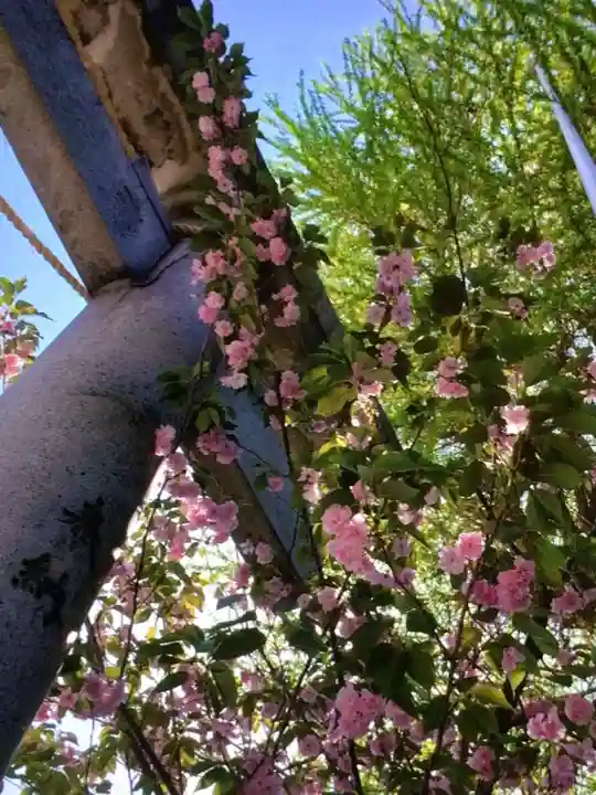 小野照崎神社(東京都)