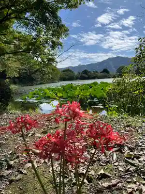 大覚寺(京都府)