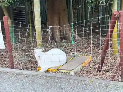 出雲大社相模分祠(神奈川県)