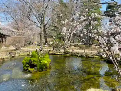 懐古神社(長野県)