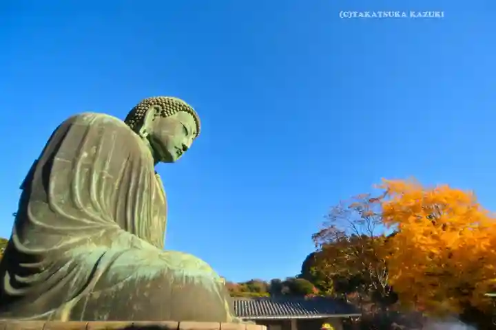 高徳院(神奈川県)