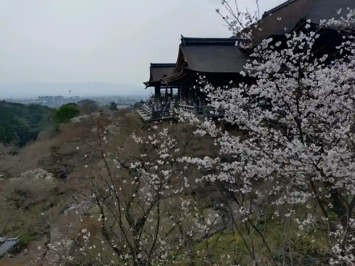 清水寺の{uncategorized: "未分類", other: "その他", undefined: "問題あり", building: "その他建物", grave: "お墓", sacred_gate: "鳥居", guardian: "狛犬", statue: "像", buddha: "仏像", history: "歴史", nature: "自然", garden: "庭園", animal: "動物", pagoda: "塔", temizu: "手水舎", mountain_gate: "山門・神門", sanctuary: "本殿・本堂", subordinate: "末社・摂社", art: "芸術", scenery: "景色", jizo: "地蔵", ema: "絵馬", goshuin: "御朱印", omikuji: "おみくじ", items: "授与品その他", amulet: "お守り", goshuincho: "御朱印帳", eats: "食事", festival: "お祭り", votive_dance: "神楽", shichigosan: "七五三参", wedding: "結婚式", experience: "体験その他", initially: "初詣", around: "周辺", anti_infection: "感染症対策"}
