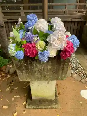 松尾山 青蓮寺の景色