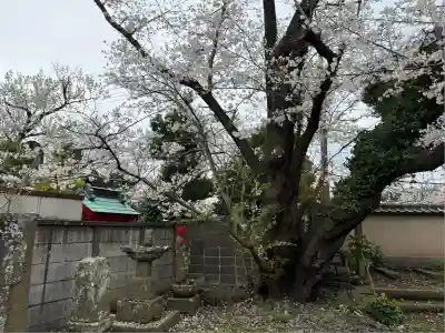 光明寺(神奈川県)