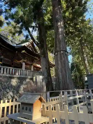 三峯神社の{uncategorized: "未分類", other: "その他", undefined: "問題あり", building: "その他建物", grave: "お墓", sacred_gate: "鳥居", guardian: "狛犬", statue: "像", buddha: "仏像", history: "歴史", nature: "自然", garden: "庭園", animal: "動物", pagoda: "塔", temizu: "手水舎", mountain_gate: "山門・神門", sanctuary: "本殿・本堂", subordinate: "末社・摂社", art: "芸術", scenery: "景色", jizo: "地蔵", ema: "絵馬", goshuin: "御朱印", omikuji: "おみくじ", items: "授与品その他", amulet: "お守り", goshuincho: "御朱印帳", eats: "食事", festival: "お祭り", votive_dance: "神楽", shichigosan: "七五三参", wedding: "結婚式", experience: "体験その他", initially: "初詣", around: "周辺", anti_infection: "感染症対策"}