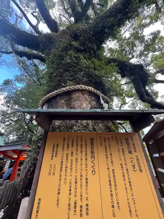 熊野那智大社(和歌山県)