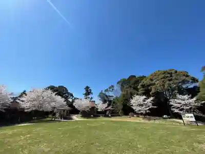 クスの森若宮神社(山口県)