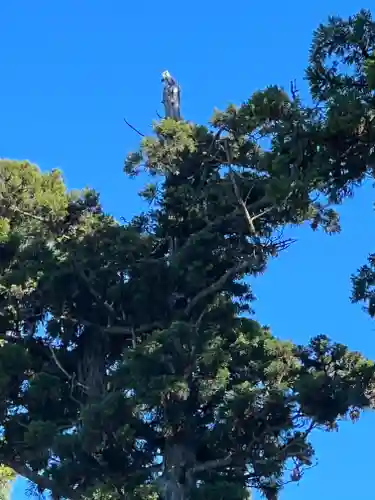 村山浅間神社の自然