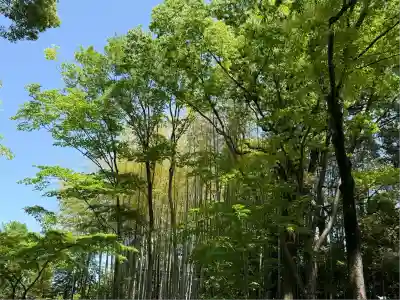 武蔵一宮氷川神社(埼玉県)