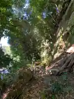 高瀧神社(千葉県)