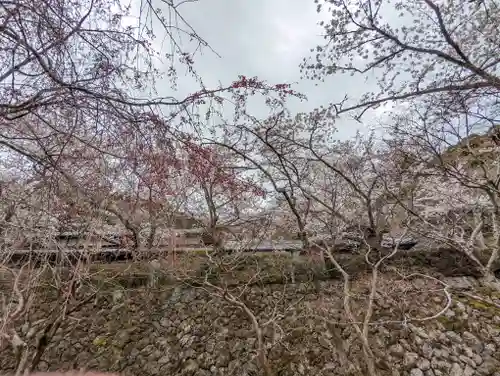 勝持寺（花の寺）(京都府)