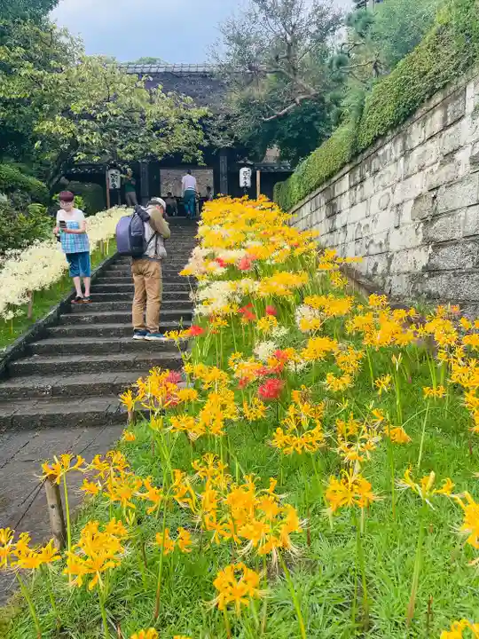 横浜 西方寺(神奈川県)