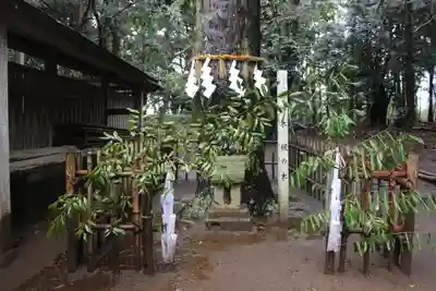 内裏神社(千葉県)