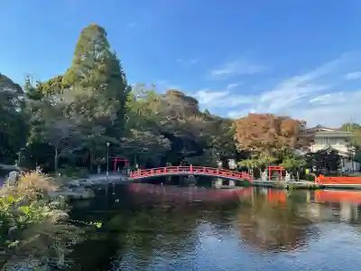 富士山本宮浅間大社(静岡県)