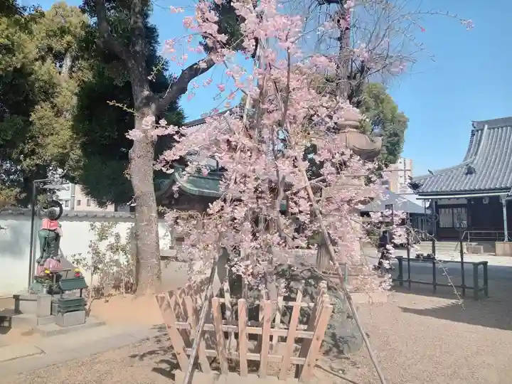法楽寺(大阪府)