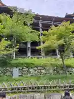 清水寺(京都府)