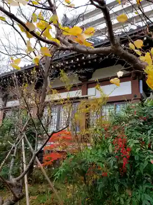 青原寺の本殿・本堂