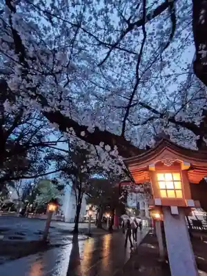 花園神社(東京都)