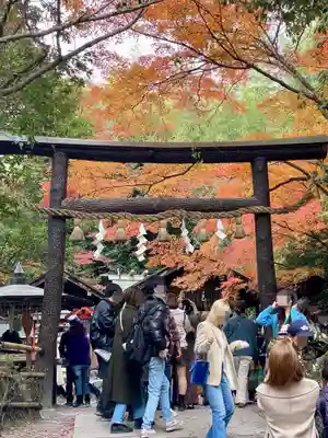野宮神社(京都府)