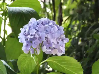 立志神社(滋賀県)