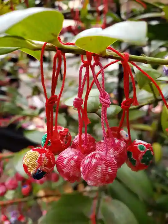 赤坂氷川神社(東京都)